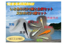 [№4631-6111]2641菊まるめだかの【いろ色めだか2種と生餌セット又はめだか3種セット】計12匹又は18匹 メダカ 幼魚～若魚 1.5～2.0cm ミジンコ ゾウリムシ いろ色めだか2種と生餌セット