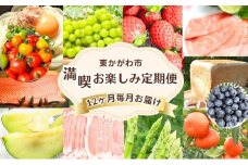 [№4631-2642]東かがわ市　満喫お楽しみ定期便（12回）さぬきうどん いちご トマト サーモン メロン ブルーベリー シャインマスカット さぬきのめざめ