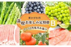 [№4631-2644]東かがわ市　満喫お楽しみ定期便 B（6回） さぬきのめざめ アスパラガス ブルーベリー シャインマスカット オリーブ豚 サーモン 小原紅