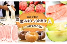 [№4631-2643]東かがわ市　満喫お楽しみ定期便 A（6回） うどん 讃岐うどん サーモン オリーブ豚 さぬきひめ いちご メロン ベーグル 香川