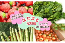 [№4631-2647]東かがわ市　はなまる定期便（5回） さぬきひめ さぬき姫 いちご 菜花 なばな トマト さぬきのめざめ アスパラガス 香川