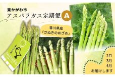 [№4631-2651]東かがわ市　アスパラガス定期便 A（3回） さぬきのめざめ 香川 グリーンアスパラガス アスパラ 緑 野菜 グルメ  
