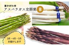 [№4631-2652]東かがわ市　アスパラガス定期便 B（3回） さぬきのめざめ 香川 グリーン ホワイト パープル アスパラガス アスパラ 緑 野菜 グルメ