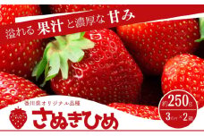 [№4631-2655]香川県オリジナル品種！　ご家庭用さぬきひめ苺　6パック