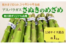 [№4631-2656]アスパラガス【さぬきのめざめ】約1kg　LM混合