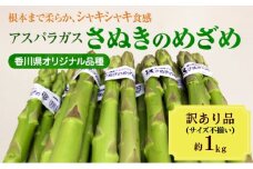 [№4631-2657]アスパラガス【さぬきのめざめ】訳あり品　約1kg