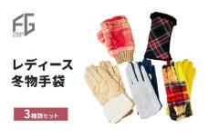 [№4631-2719]東かがわ市からお届けする【レディース冬物手袋3種類セット】