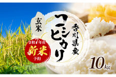 [№4631-2724]令和7年産　新米「コシヒカリ」10kg（玄米）  お米 10kg 