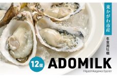 [№4631-2732]香川県東かがわ市産生食用牡蠣・ADOMILK 12個セット