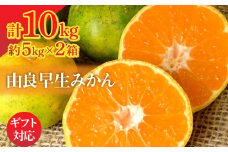 【ふるさと納税】由良早生みかん 5kg×2箱【ギフト可】  秋 旬
