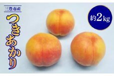 【ふるさと納税】数量限定！先行予約販売開始★ 神田農園の人気産地直送 桃「つきあかり」 約2kg（6玉） [ フルーツ 名産品 桃 もも モモ 果物 くだもの 取り寄せグルメ 三豊市 15000 15, 返礼品 神田桃園 ] ※配送不可地域：北海道・沖縄県・離島