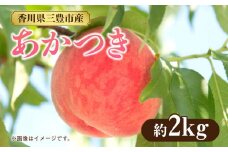 【ふるさと納税】数量限定！先行予約販売開始★ 神田農園の産地直送 桃「あかつき」約2kg（6～7玉） [ フルーツ 名産品 桃 もも モモ 果物 くだもの お取り寄せグルメ 三豊市 15000 15, 返礼品 神田桃園 ] ※配送不可地域：北海道・沖縄県・離島
