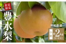 【ふるさと納税】【配送不可地域：北海道・沖縄県・離島】 数量限定！平和農園 豊水梨 小箱（5～6玉）＜約２kg＞