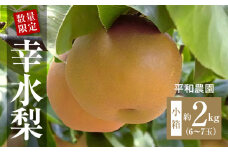 【ふるさと納税】【配送不可地域：北海道・沖縄県・離島】数量限定！ 締め切り間近 平和農園 幸水梨 小箱（6～7玉）＜約２kg＞