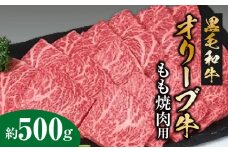 【ふるさと納税】牛肉 黒毛和牛 オリーブ牛 もも焼肉用 500g  [ 讃岐牛 すき焼き しゃぶしゃぶ 焼肉 ランキング ブランド牛 小間 牛肉 お肉 国産 一押し 送料無料 牛肉 切り落とし 三豊市 10000 10, 台 返礼品 人気 セット サヌキ畜産フーズ ]