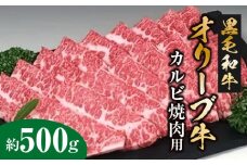 【ふるさと納税】黒毛和牛 オリーブ牛 カルビ焼肉用 約500g [ 讃岐牛 国産 ブランド牛 カルビ 焼肉 セット ギフト グルメ 小分け 冷凍保存 BBQ ごちそう肉 お取り寄せグルメ 冷凍 送料無料 三豊市 20000 20, 台 返礼品 サヌキ畜産フーズ ]