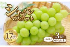 【ふるさと納税】【先行予約】【配送不可地域：北海道・沖縄県・離島】シャインマスカット　3房【600ｇ以上】【糖度17度以上】 シャインマスカット 大粒 贈答用 ギフト お取り寄せ 国産 旬 新鮮 産地直送 高級 ぶどう 葡萄 ブドウ 皮ごと 種なし たねなし 詰め合わせ