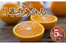 【ふるさと納税】【配送不可地域：北海道・沖縄県・離島】三豊市産　極上【マル曽　早生みかん約5ｋｇ】S～Mサイズ  秋 旬