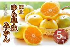【ふるさと納税】【配送不可地域：北海道・沖縄県・離島】三豊市産　極上【ゆら早生みかん　約5ｋｇ】S～Mサイズ  秋 旬