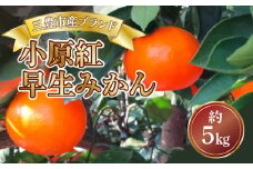 【ふるさと納税】【配送不可地域：北海道・沖縄県・離島】三豊市産ブランド曽保みかん【小原紅早生　約5ｋｇ】  秋 旬