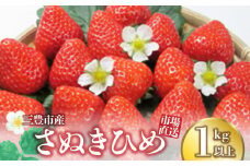 【ふるさと納税】【2025年出荷】【配送不可地域：北海道・沖縄県・離島】三豊市産【市場直送　さぬきひめ　1.0ｋｇ以上】  秋 旬