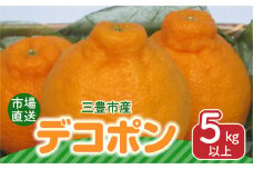 【ふるさと納税】 デコポン 市場直送  曽保・高瀬産デコポン 5kg以上 [ みかん 不知火 フルーツ 果物 果実 濃厚 柑橘 デザート スイーツ 食品 国産 香川県 返礼品 三豊市 お取り寄せ ギフト プレゼント 送料無料 マミィギフトカガワ] 【配送不可地域：北海道・沖縄・離島】