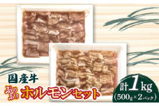 【ふるさと納税】国産牛ぷりぷりホルモンセット 食べ比べ 小腸 アカセンマイ 焼肉 もつ鍋