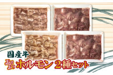 【ふるさと納税】国産牛ぷりぷりホルモン二種セット 食べ比べ 小腸 アカセンマイ 焼肉 もつ鍋