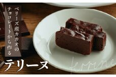 【ふるさと納税】the TERRINE　ベリーズ産カカオのチョコレートから作るテリーヌ