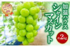 【ふるさと納税】【さぬき讃フルーツ認定】 締め切り間近 加温ハウス シャインマスカット 約2kg シャインマスカット 大粒 贈答用 ギフト お取り寄せ 国産 旬 新鮮 産地直送 高級 ぶどう 葡萄 ブドウ 皮ごと 種なし たねなし 詰め合わせ 詰合せ 詰合わせ  秋 旬