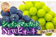 【ふるさと納税】【さぬき讃フルーツ認定】 締め切り間近 シャインマスカット＆NEWピオーネ詰め合わせ  シャインマスカット 大粒 贈答用 ギフト お取り寄せ 国産 旬 新鮮 産地直送 高級 ぶどう 葡萄 ブドウ 皮ごと 種なし たねなし 詰め合わせ 詰合せ 詰合わせ