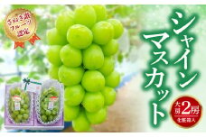 【ふるさと納税】 締め切り間近 【さぬき讃フルーツ認定】シャインマスカット 大房2房（化粧箱入り）シャインマスカット 大粒 贈答用 ギフト お取り寄せ 国産 旬 新鮮 産地直送 高級 ぶどう 葡萄 ブドウ 皮ごと 種なし たねなし 詰め合わせ 詰合せ 詰合わせ  秋 旬