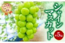 【ふるさと納税】【さぬき讃フルーツ認定】 締め切り間近 シャインマスカット 約5kg シャインマスカット 大粒 贈答用 ギフト お取り寄せ 国産 旬 新鮮 産地直送 高級 ぶどう 葡萄 ブドウ 皮ごと 種なし たねなし 詰め合わせ 詰合せ 詰合わせ  秋 旬