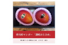 【ふるさと納税】香川産マンゴー「讃岐おとひめ」