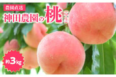 【ふるさと納税】数量限定！先行予約販売開始★ 神田農園の産地直送 桃（早生）約3kg（9～10玉） [ フルーツ 名産品 桃 もも モモ 白桃 果物 くだもの お取り寄せグルメ 三豊市 20000 20, 返礼品 神田桃園 ] ※配送不可地域：北海道・沖縄県・離島