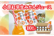 【ふるさと納税】小原紅早生みかんジュース10本セット  秋 旬