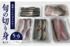 【ふるさと納税】切り身 セット 5～6パック ２～３人様用 冷凍 旬 魚 亀野さんにおまかせ 真空パック 揚げ物 焼き物 煮物 魚料理 ひうち灘漁師の店 亀吉丸 香川県 三豊市 お取り寄せ 送料無料