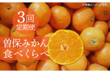 【ふるさと納税】【配送不可地域：北海道・沖縄県・離島】曽保みかん食べくらべ（3回定期便）  みかん 3ｋｇ 5ｋｇ 13ｋｇ お取り寄せ 国産 旬 新鮮 産地直送 高級 詰め合わせ 詰合せ フルーツ 定期便 果物 果物定期便 定期 ふるさと納税 フルーツ定期便 果物 秋 旬