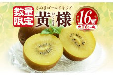 【ふるさと納税】【配送不可地域：北海道・沖縄県・離島】【締め切り間近: 11月15日まで】 さぬきゴールドキウイ「黄様」１６個入り【数量限定】  秋 旬