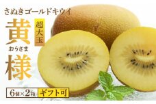 【配送不可地域：北海道・沖縄県・離島】【ふるさと納税】さぬきゴールドキウイ「黄様」超大玉６個入り×２箱【ギフト可】  秋 旬