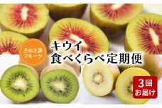【ふるさと納税】【配送不可地域：北海道・沖縄県・離島】【さぬき讃フルーツ】キウイ食べくらべ定期便（3回）  秋 旬