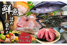 【ふるさと納税】【配送不可地域：北海道・東北・沖縄県・離島】鮮魚詰め合わせ 5～6尾（約2.5kg）  株式会社瀬戸水産
