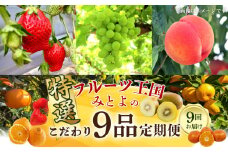 【ふるさと納税】【配送不可地域：北海道・沖縄県・離島】フルーツ王国 みとよ 特選 こだわり 9品 定期便 定期 旬の時期 旬 果物 フルーツ 果実 旬 デザート 食べごろ みかん せとか いちご デコポン もも キウイ キウイフルーツ お取り寄せ 香川県 三豊市 送料無料