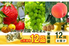 【ふるさと納税】【配送不可地域：北海道・沖縄県・離島】フルーツ 定期便 12回 特選 こだわり 12品 果物 産地直送 みかん いちご びわ マスカット 桃 キウイ シャインマスカット せとか デコポン 三豊市  フルーツ 詰め合わせ 定期 旬 新鮮 高級 詰め合せ
