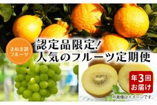 【ふるさと納税】【配送不可地域：北海道・沖縄県・離島】フルーツ 定期便 計 3回 さぬき讃フルーツ 認定品限定 人気 厳選 不知火 シャインマスカット キウイ みかん デコポン マスカット ぶどう ゴールドキウイ お取り寄せ お取り寄せグルメ デザート スイーツ 食品