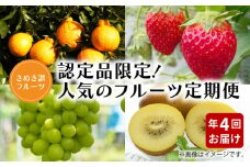 【ふるさと納税】【配送不可地域：北海道・沖縄県・離島】【さぬき讃フルーツ】認定品限定！人気のフルーツ定期便 年4回 定期 定期便 フルーツ定期便 果物定期便 フルーツ 果物 しらぬい さぬきひめいちご シャインマスカット さぬきゴールドキウイ キウイ 香川県 三豊市