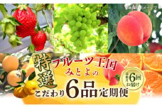 【ふるさと納税】【配送不可地域：北海道・沖縄県・離島】フルーツ王国 みとよ 特選 こだわり 6品 (奇数月) 定期便 定期 フルーツ 果物 果実 旬 旬の時期 6回 みかん いちご びわ もも シャインマスカット お取り寄せ フルーツ王国みとよ 香川県 三豊市 送料無料