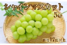 【ふるさと納税】【先行予約】【配送不可地域：北海道・沖縄県・離島】シャインマスカット5kg (6～7房）【700g以上】【糖度17度以上】 シャインマスカット 大粒 贈答用 ギフト お取り寄せ 国産 旬 新鮮 産地直送 高級 ぶどう 葡萄 ブドウ 皮ごと 種なし 詰め合わせ