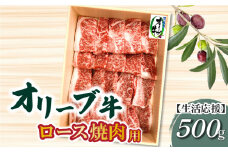 【ふるさと納税】生活応援 オリーブ牛ロース焼肉用500g