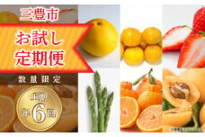 【ふるさと納税】数量限定 フルーツ 野菜 定期便 6回 上期 お試し こだわり 6品 産地直送 文旦 みかん いちご アスパラ ビワ デコポン 果物 旬 旬の果物 旬の野菜 フルーツ王国 お取り寄せ 三豊市 香川県